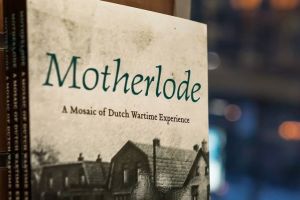Image of the cover for the book Motherlode